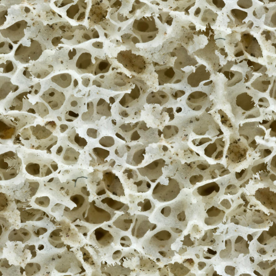 A texture image depicting bone structures