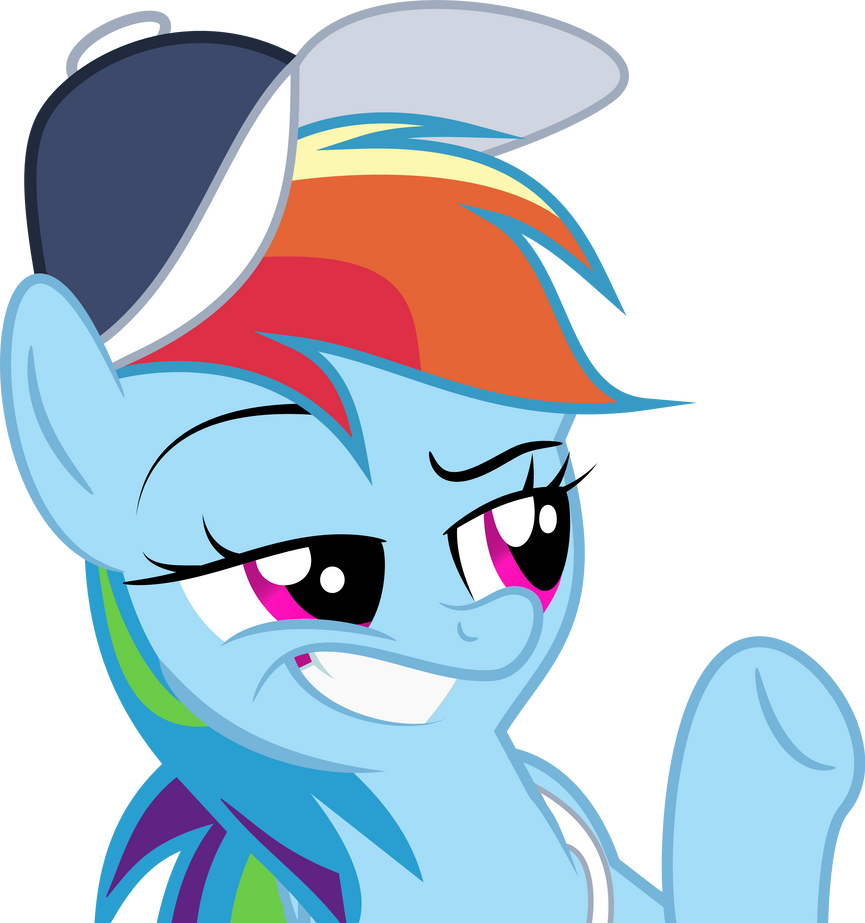 rainbow_dash__vector_from_5_episode__by_