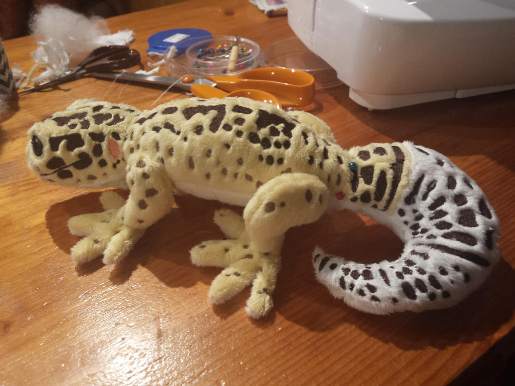 Gecko Toys 6