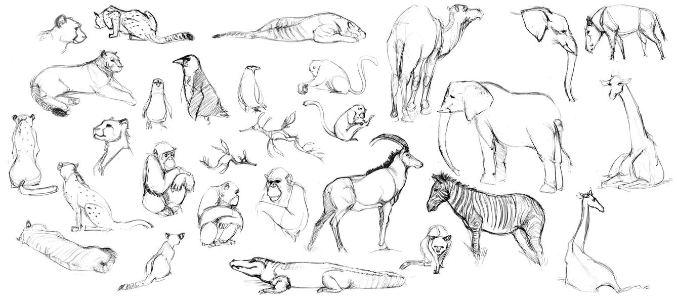 Animal Life Drawings by silentillusion on DeviantArt
