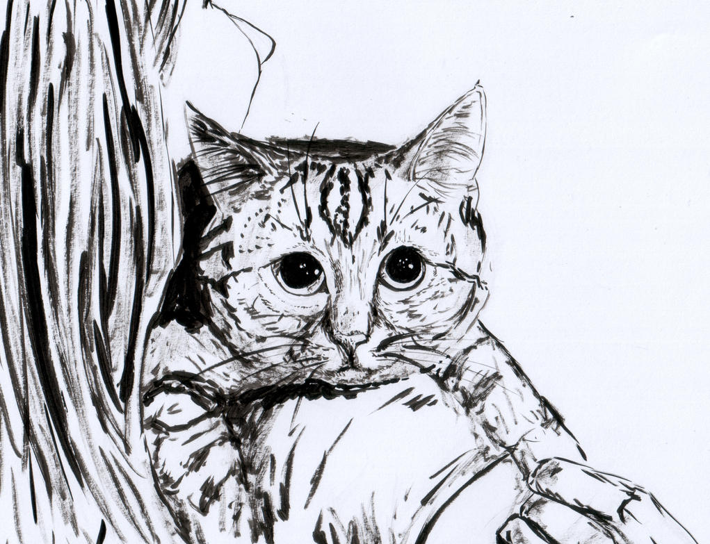 [Image: tumblr_gets_drawn_7_by_punk_a_cat-d9778ez.jpg]